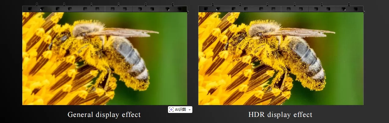 HDR Technology HDR Technology