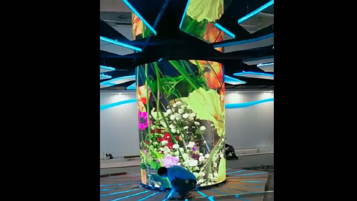 Soft Module Series Video